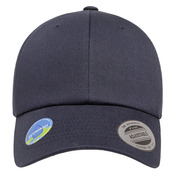Ecowash Dad Cap
